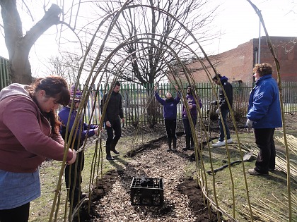 Students volunteering to weave a willow tunnel at a local primary school. The willow tunnel is now used as an educational resource.